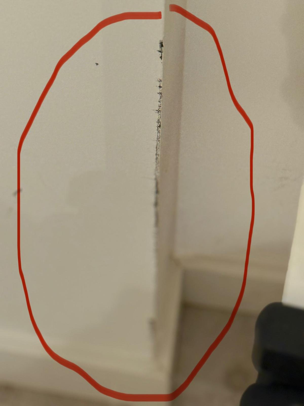 WhatsApp Image 2025-10-28 at 11.17.37 AM